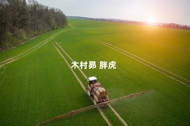 木村昴 胖虎 木村昴配过的角色